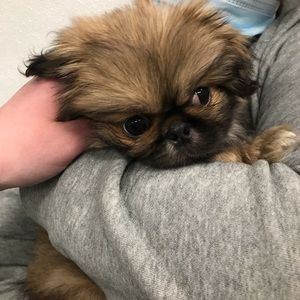 Meet your Posher, Kayla